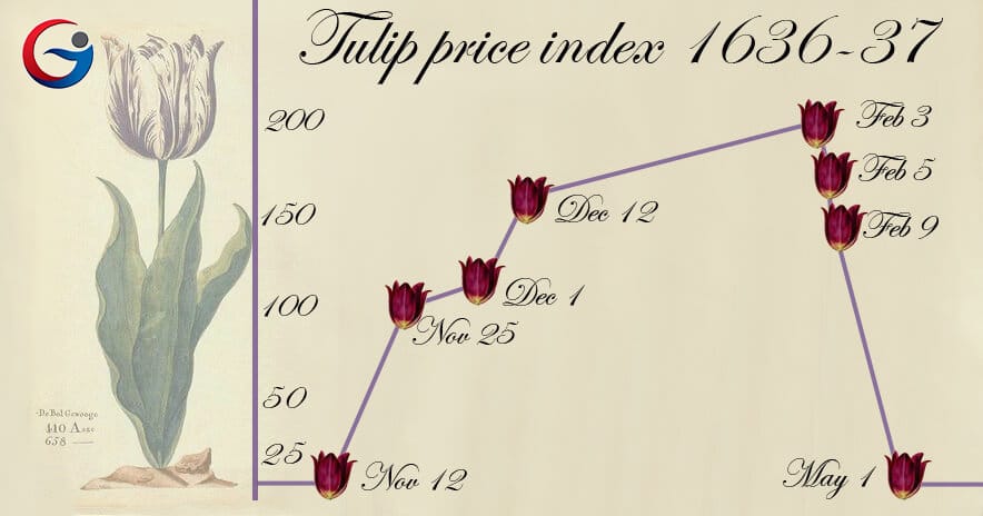 Bong bóng hoa Tulip là gì? So sánh hội chứng hoa Tulip với Bitcoin